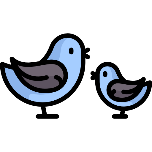 vögel Special Lineal color icon