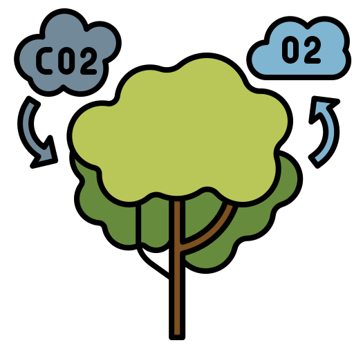 fotosíntesis Generic Outline Color icono