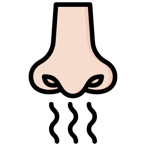 Olfactory Generic Outline Color icon
