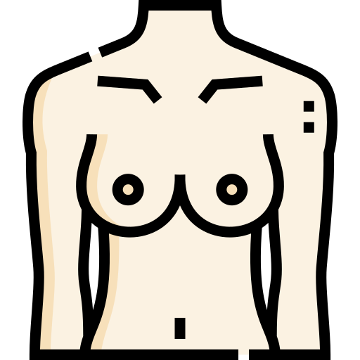胸 Detailed Straight Lineal color icon