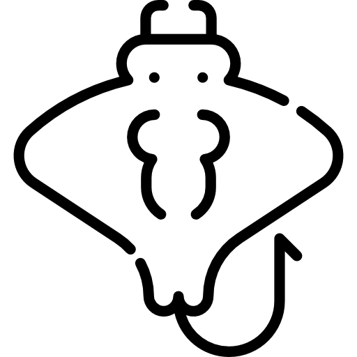 manta ray Special Lineal icona