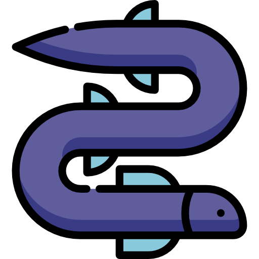 Eel Special Lineal color icon