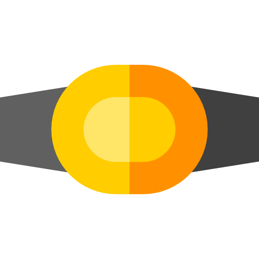 champion gürtel Basic Straight Flat icon