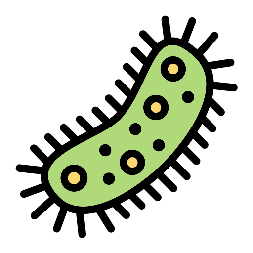 Bacteria Generic Outline Color icon