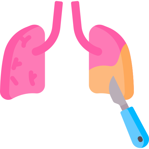 Lungs Special Flat icon