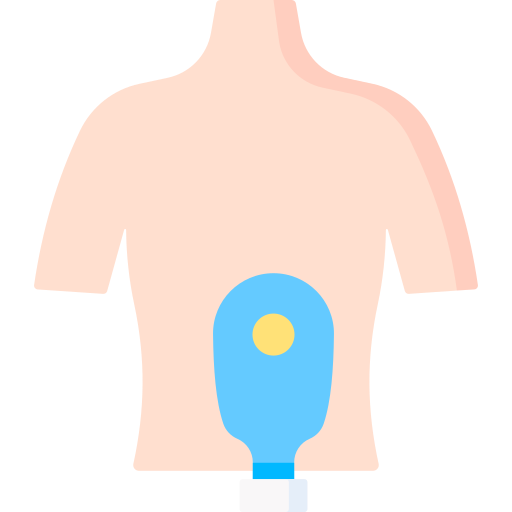 Colostomy Special Flat icon