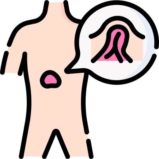 Epigastric Special Lineal color icon