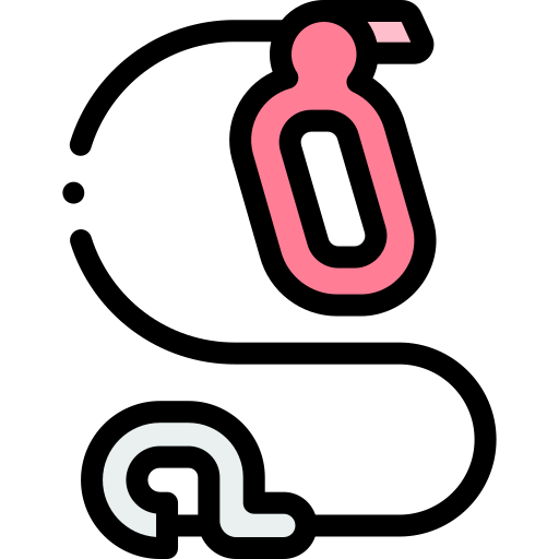 leine Detailed Rounded Lineal color icon
