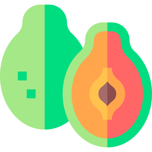 papaya Basic Straight Flat icono