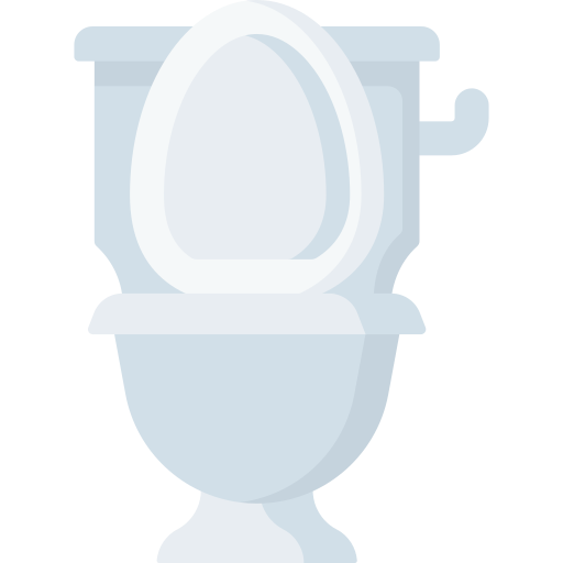 Туалет Special Flat иконка