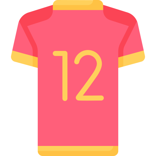 Soccer jersey Special Flat icon