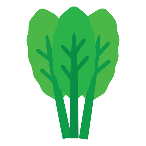 Spinach Generic Flat icon