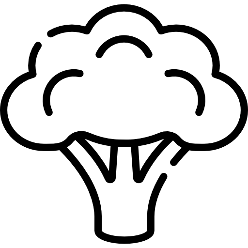 brokkoli Special Lineal icon