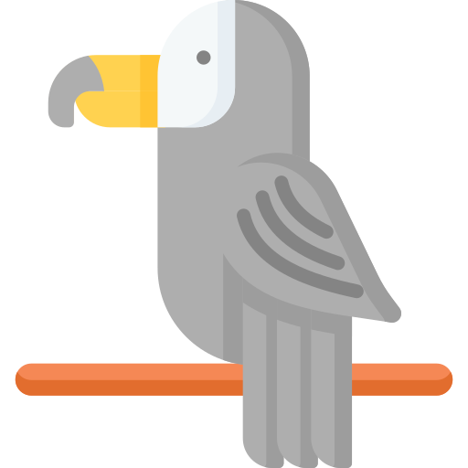 Toucan Special Flat icon