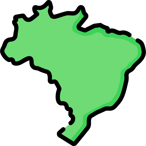 Brazil  Special Lineal color icon