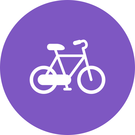 Bicycle Generic Mixed icon