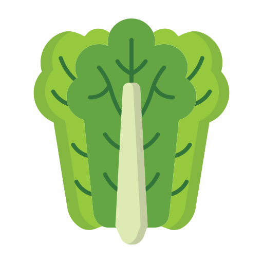 Lettuce Generic Flat icon