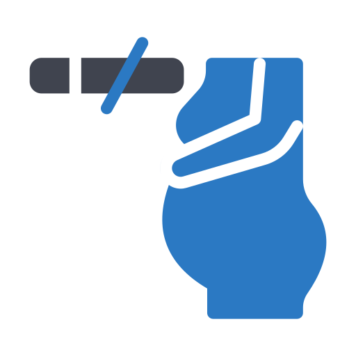 schwangerschaft Generic Blue icon