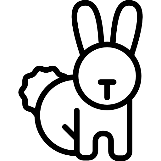 うさぎ Special Lineal icon