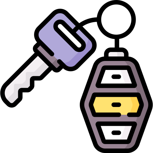 llave del coche Special Lineal color icono