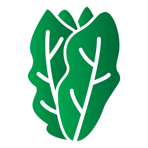 Lettuce Generic Flat Gradient icon