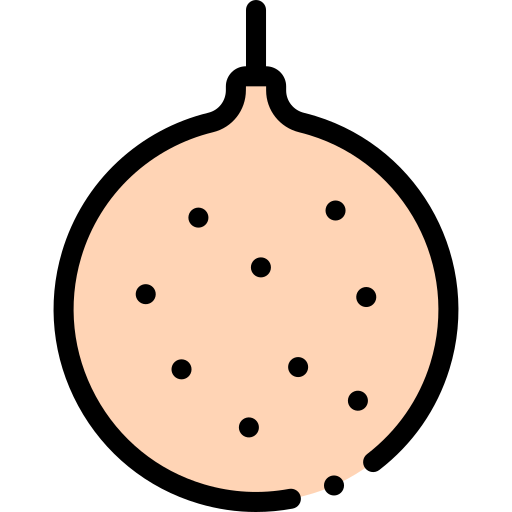 Longan Detailed Rounded Lineal color icon