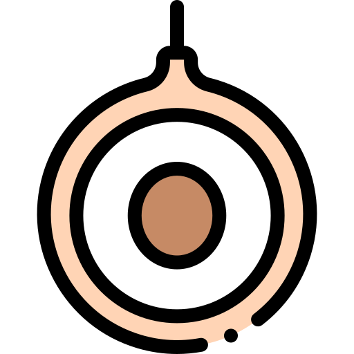 longan Detailed Rounded Lineal color icon