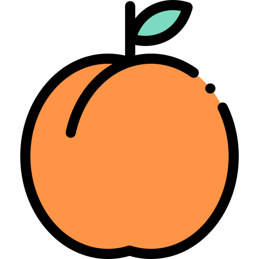 Apricot Detailed Rounded Lineal color icon