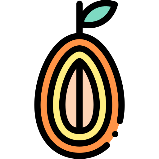 Kumquat Detailed Rounded Lineal color icon