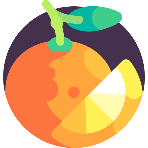 naranja Detailed Flat Circular Flat icono