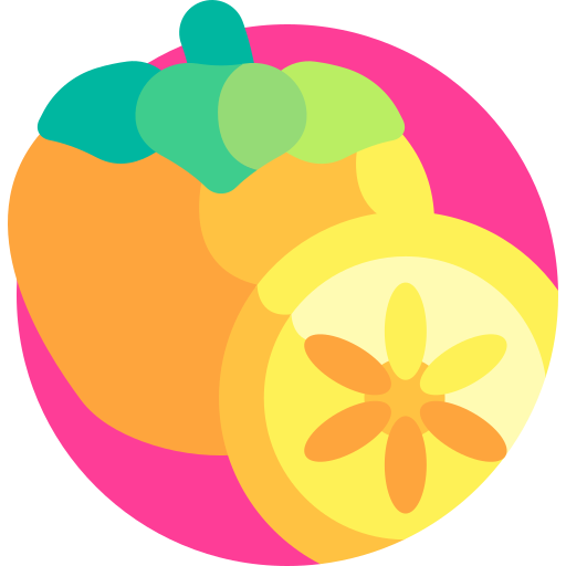 persimmon Detailed Flat Circular Flat icon