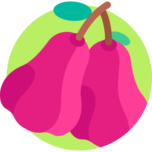 Розовое яблоко Detailed Flat Circular Flat иконка