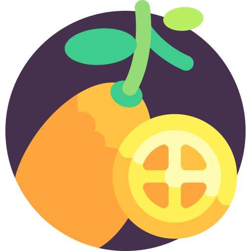 kumquat Detailed Flat Circular Flat icon
