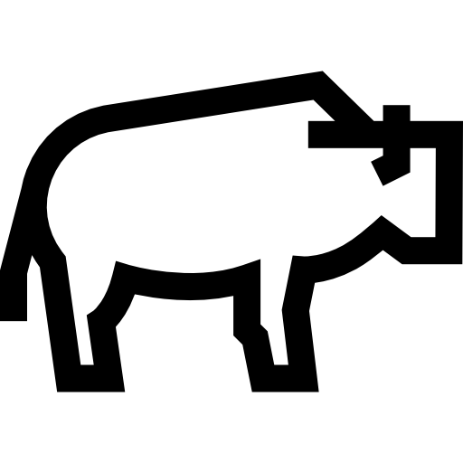 バイソン Basic Straight Lineal icon