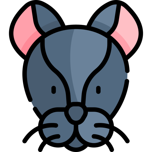 Black panther Kawaii Lineal color icon