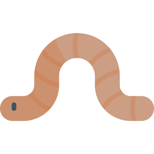 worm Kawaii Flat icoon