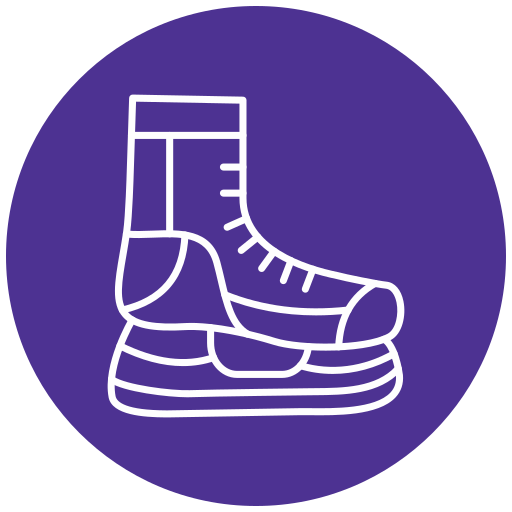 Skates Generic Flat icon
