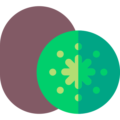 kiwi Basic Rounded Flat icono