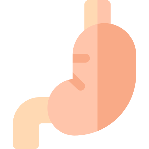 Żołądek Basic Rounded Flat ikona
