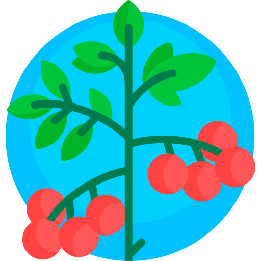 Tomatoes Detailed Flat Circular Flat icon