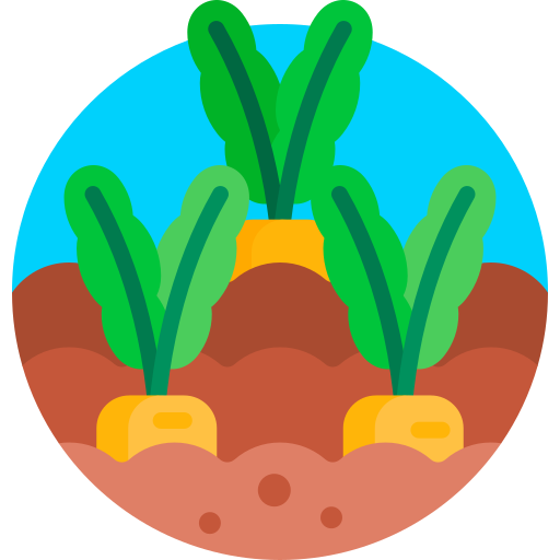 wortels Detailed Flat Circular Flat icoon