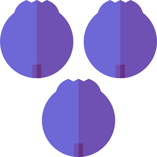 bosbes Basic Straight Flat icoon