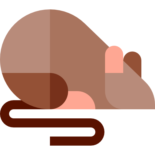 Rat Basic Straight Flat icon
