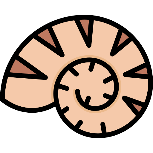 화석 Generic Outline Color icon
