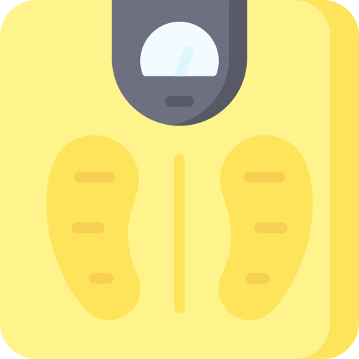 Weight Scale Special Flat icon
