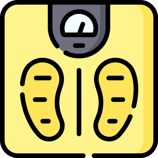 Weight Scale Special Lineal color icon