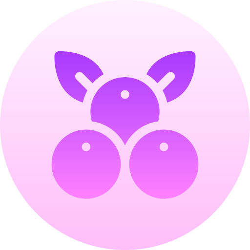 Berries Basic Gradient Circular icon
