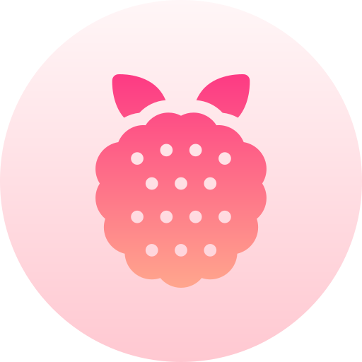 산딸기 Basic Gradient Circular icon