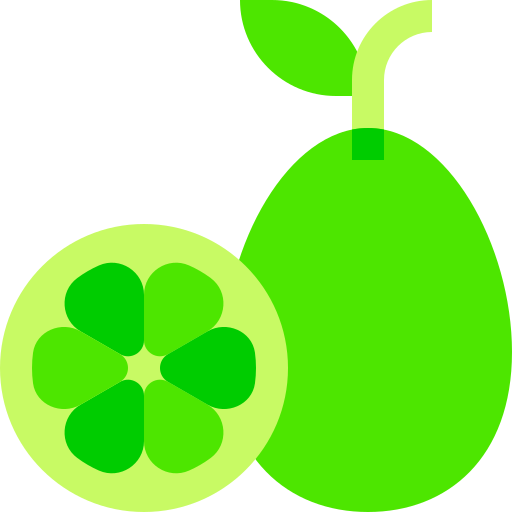 Kumquat Basic Sheer Flat icon
