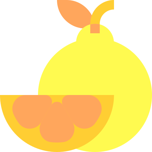 Grapefruit Basic Sheer Flat icon